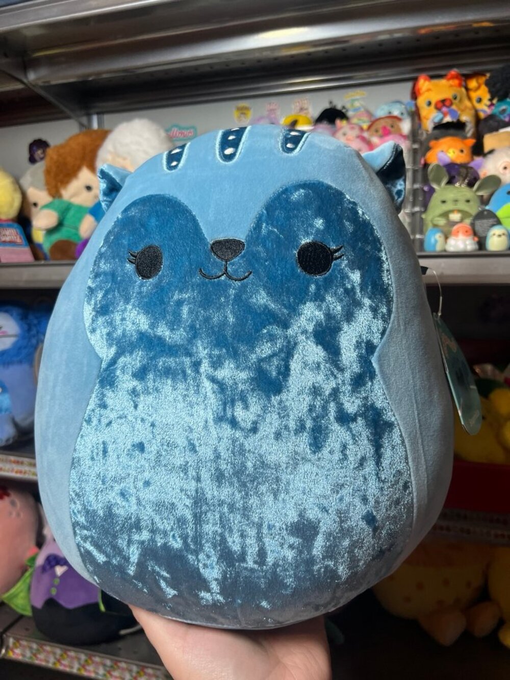 12” NEW SQUISHMALLOWS BRUNHILDA THE BLUE VELVET SQUIRREL NWT